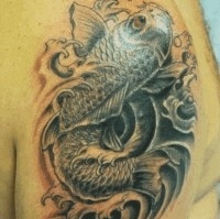 Înțeles crap tatuaj (tatuaje) Înțeles crap tatuaj