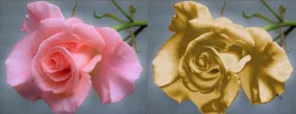 De aur în Photoshop (Photoshop) De aur în Photoshop