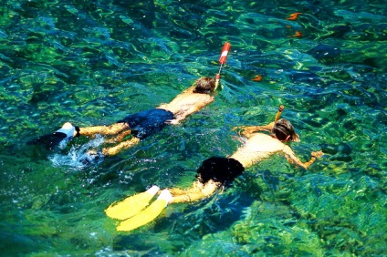 Art snorkeling unelte si sfaturi pentru incepatori