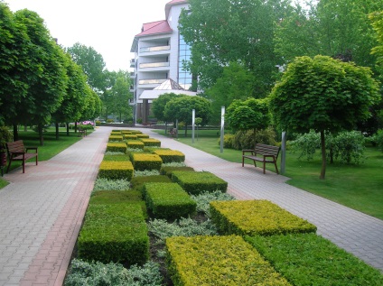 Озеленяване на площада в София, пейзаж студио Derevo парк