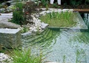 Pond, които могат да плуват