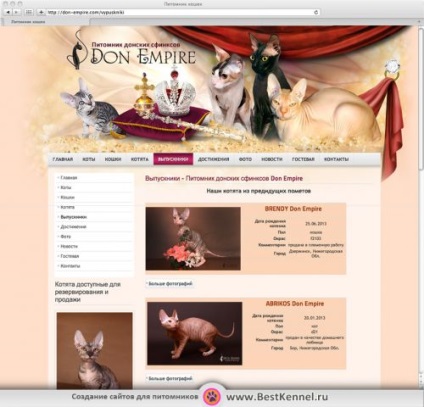Crearea de site-uri pentru custi pentru animale de companie, pentru câini și pisici (site-uri pentru animale de companie) Crearea de site-uri pentru custi pentru animale de companie, pentru câini și pisici