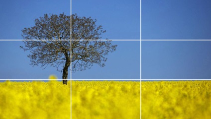 10 mituri despre regula treimilor (reguli de compoziție în fotografie) regula 10 mituri treimi