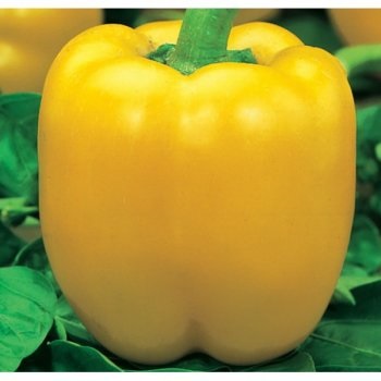 10 Cele mai utile legume (iarna) 10 Cele mai utile legume