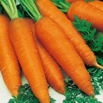 10 Cele mai utile legume (care) 10 Cele mai utile legume