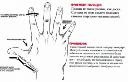 Desenul 136 uman - veroni4ka (marca partea superioară) 136 Desen om - veroni4ka