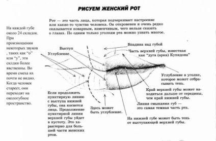 Desenul 136 uman - veroni4ka (marca partea superioară) 136 Desen om - veroni4ka