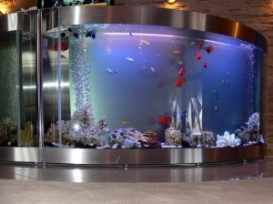 Aquarium ca parte a interiorului (acvariu) Acvariu, ca parte a interiorului