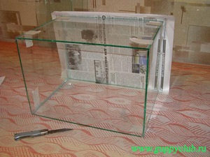 Acvariul cu propriile lor mâini (Aquarium) Acvariul cu propriile lor mâini