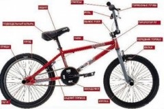bmx Anatomy bicicleta (plate inci drepte) Anatomia biciclete BMX