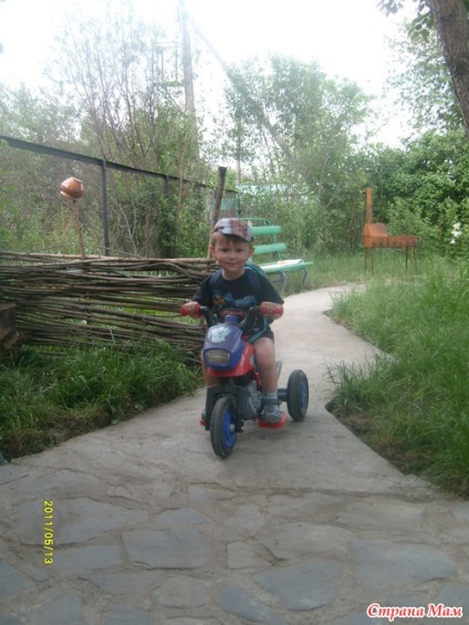 Și în curtea noastră () Și în curtea noastră