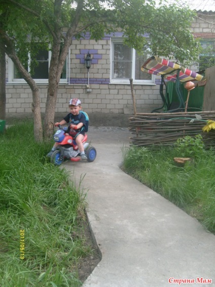 Și în curtea noastră () Și în curtea noastră