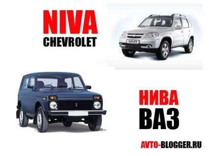 Mașină în sat și grădină, avtoblog (sat) Mașină în sat și grădină, avtoblog