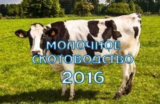 Contaminarea bacteriană a laptelui modalități de a reduce (lapte) Contaminarea bacteriană a laptelui modalități de a reduce