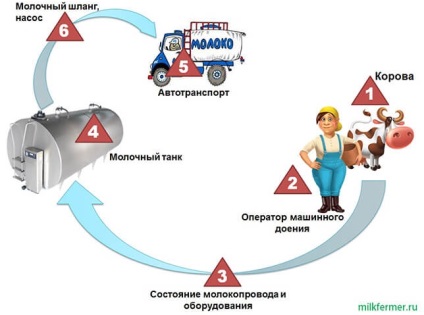 Contaminarea bacteriană a laptelui modalități de a reduce (urmări condițiile sanitare) Contaminarea bacteriană a laptelui modalități de a reduce