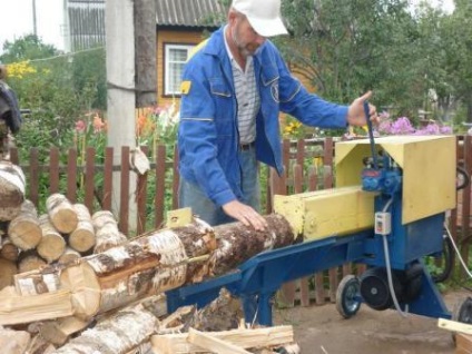 Afaceri pe lemn, cum să organizeze vânzarea de lemn de foc (de afaceri) Afaceri pe lemn, cum să organizeze vânzarea de lemn de foc