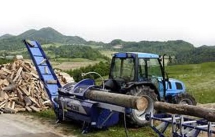 Afaceri pe lemn (venituri cu lemne de foc), o mulțime de idei pentru întreprinderi mici (mici) Afaceri pe lemn (venituri cu lemne de foc), o mulțime de idei pentru afaceri mici