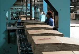 Plan de afaceri pentru producerea de cutii de carton (plan de producție de afaceri) Plan de afaceri pentru producerea de cutii de carton