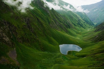 site-ul blogului „Note ghinioniști“ () site-ul blogului „note ghinioniști“