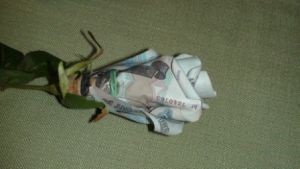 O grămadă de bani (bani) O adunatura de bani