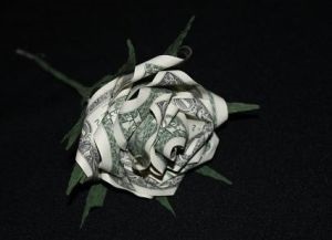 O adunatura de bani (buchet) O adunatura de bani