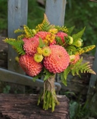 Buchet de fotografie dalii (buchet de mireasa din dalii) Buchet de fotografie dalii