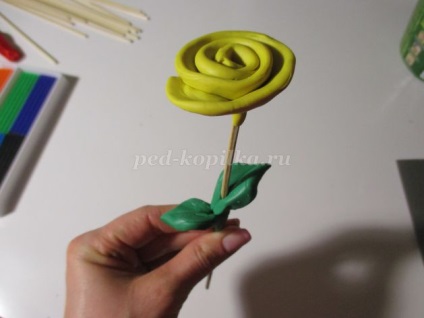 Un buchet de flori din lut cu mâinile lor pentru copii de 5-6 ani (plastilina) Un buchet de flori din lut cu mâinile lor pentru copii de 5-6 ani