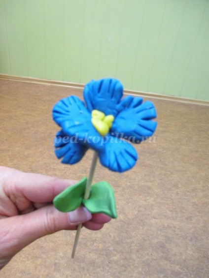 Un buchet de flori din lut cu mâinile lor pentru copii de 5-6 ani (culori) Un buchet de flori din lut cu mâinile lor pentru copii de 5-6 ani