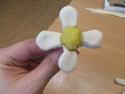 Un buchet de flori din lut cu mâinile lor pentru copii de 5-6 ani (plastilina) Un buchet de flori din lut cu mâinile lor pentru copii de 5-6 ani