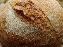 pâine integrală de grâu - reteta cu fotografii (pâine integrală de grâu) pâine integrală de grâu - reteta cu fotografii