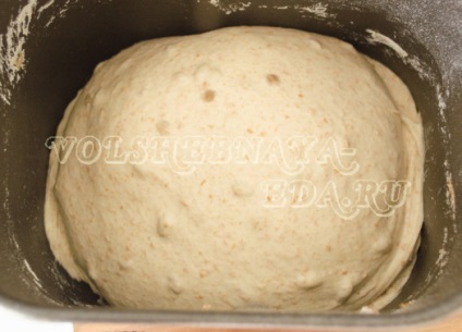 paine din cereale integrale la domiciliu (foto) (gatiti pâine integrală) paine din cereale integrale la domiciliu (poze)