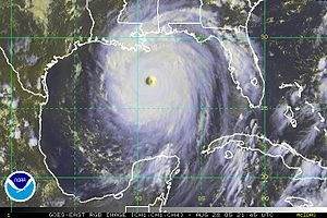 Uraganul periculoase în căutarea în sine (Hurricane) Uraganul periculoase, în căutarea de sine