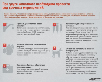 Ce întrebări și răspunsuri hidrofobie periculoase, întrebare-răspuns, argumente și fapte (sănătatea umană) Ce întrebări periculoase hidrofobie și răspunsuri, întrebare-răspuns, argumente și fapte