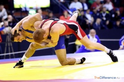 Ceea ce este diferit de judo Sambo (Sambo) Ceea ce este diferit de judo Sambo