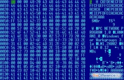 Care sunt datele din diferență (zerouri cod mașină) program de Care sunt datele diferență de program