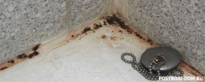mucegai negru în baie - cum să scape de (baie) mucegai negru în baie - cum să scape