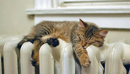 Și dacă radiator curgea (baterie conducte de refulare) Ce se întâmplă dacă radiatorul a curs