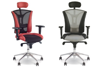 Ce este un scaun ergonomic și cum să-l (care este scaun ergonomic și cum să-l aleg?) Selectați Ce este un scaun ergonomic și modul de a alege