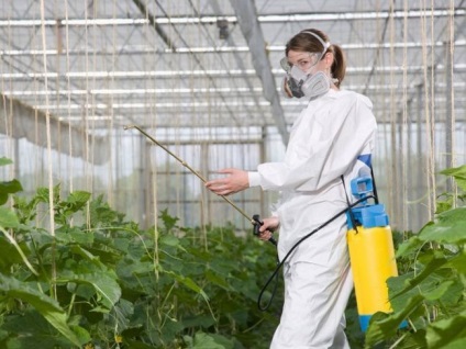 Care sunt pesticide (insecticide) Care sunt pesticide