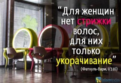 Care este - zori amurg - și - a doua - Zori (întrebări și răspunsuri) Care este - zori amurg - și - a doua - Zori