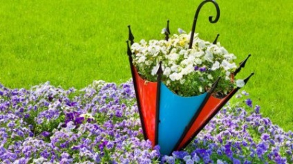 paturi de flori la cabana mâinile sale fotografie improvizat (Dacha) paturi de flori în țară cu propriile mâini fotografie improvizate