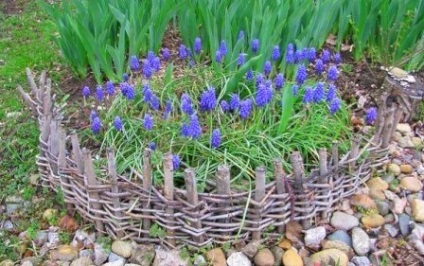 paturi de flori în țară cu propriile mâini fotografia instrumentele disponibile (paturi) paturi de flori în țară cu propriile mâini fotografie improvizate