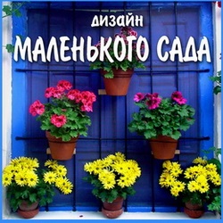 Plante ornamentale (ornamentale) plante ornamentale