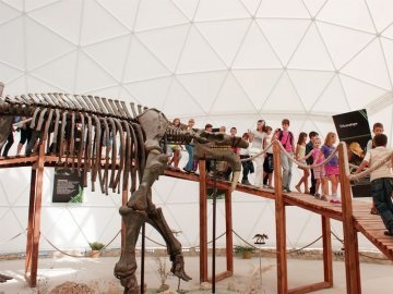 Dinothere Krym Koktebel (Koktebel) Dinothere Koktebel Crimeea