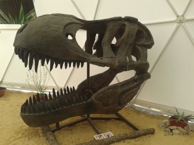 Dinothere în Koktebele (fiecare impas labirint) Dinothere în Koktebel