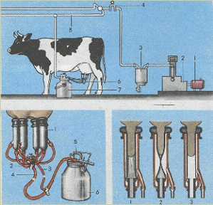 Muls de instalare (configurare) maşini de muls