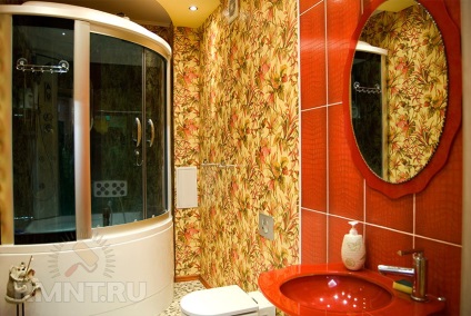 Cabina de dus (duș adâncime) cabină de duș