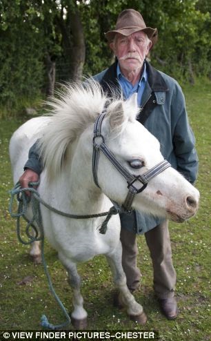 Joe și poneiul este un ponei pentru mine un ghid (I) Joe și poneiul este un ponei pentru mine un ghid