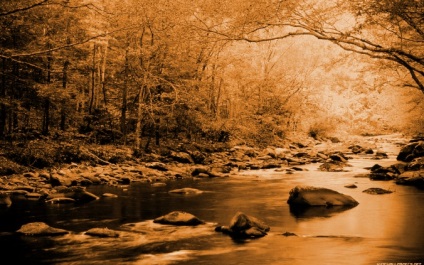 Efectul „sepia“ pentru fotografii (3 metode) (efect) Efectul „sepia“ pentru fotografie (3 moduri)