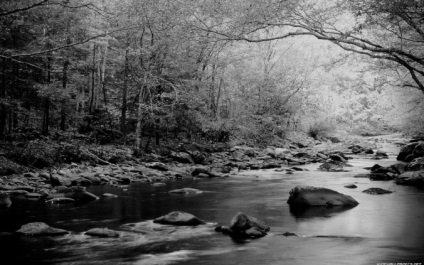 Efectul Efectul „sepia“ pentru fotografie (3 moduri)